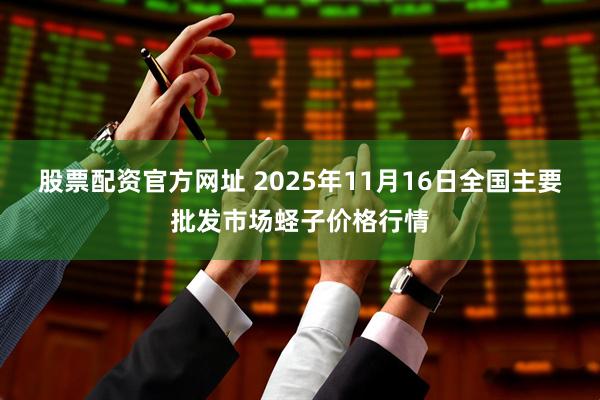 股票配资官方网址 2025年11月16日全国主要批发市场蛏子价格行情