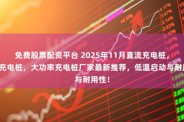 免费股票配资平台 2025年11月直流充电桩，重卡充电桩，大功率充电桩厂家最新推荐，低温启动与耐用性！